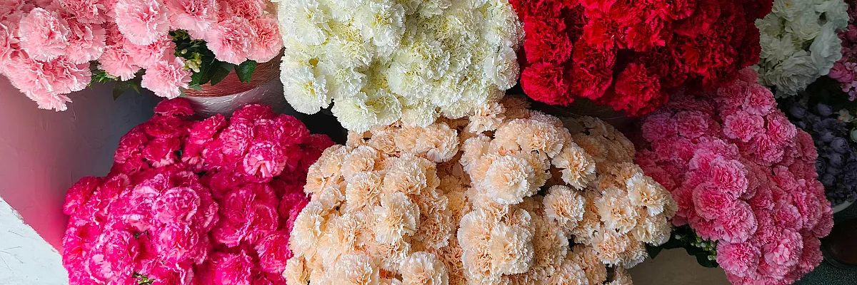 مركز ازهار ابو تيم Cover