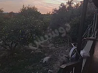 مزرعة للبيع 