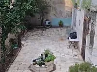 للبيق شقة في ابو رمانة