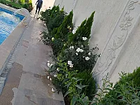 للبيع مزرعه 800 متر طابو اخضر 2400 بالمليحة 