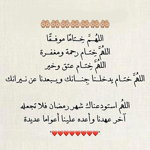 محمد أمير الهاشمي