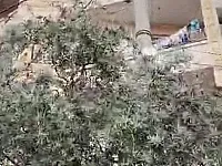 للبيع شقة مكسية كسوة عادية حي الثورة عند جامع سعد طابق ثالث