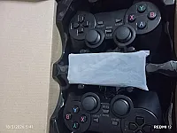 القرش الاخضر 