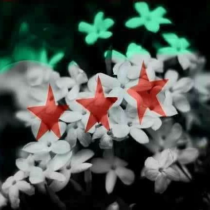 -مفروشات الزعيم