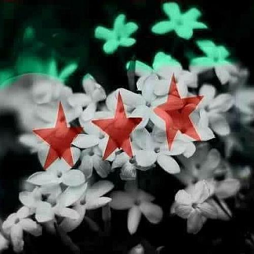 -مفروشات الزعيم