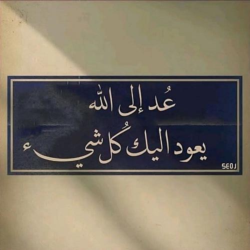 ابو قيس