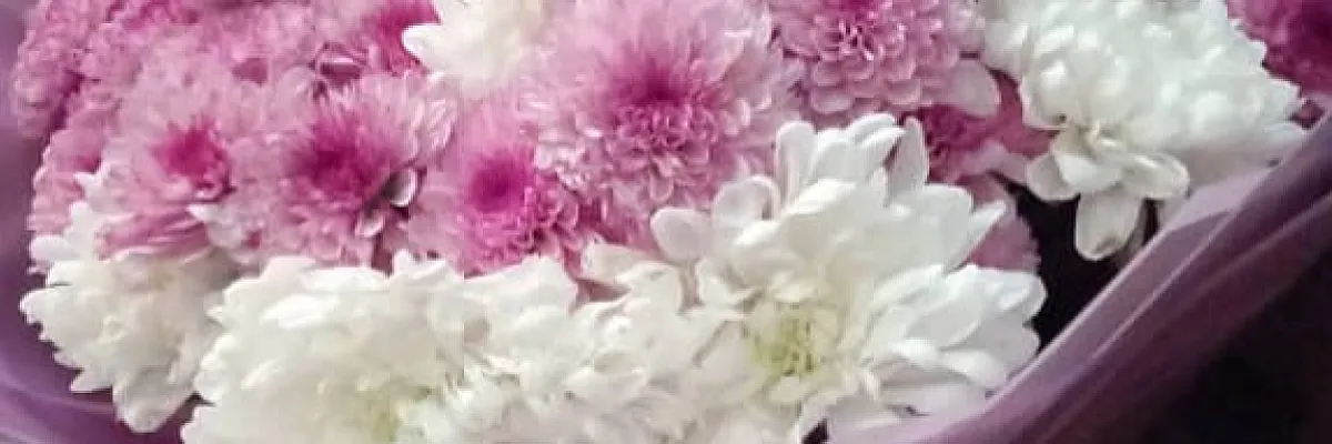 قاسم Cover