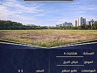 أرض تجارية للبيع 60000 م² في دارة عزة، حلب - فرصة استثمارية