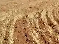 للبيع أرض على استراد غازي عنتاب 3000 متر