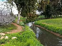 أرض تنظيم للبيع في برزة البلد بدمشق - 1500 م²