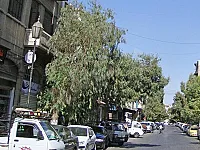 محل للبيع في مصلبة العمارة