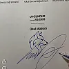صورة المستخدم