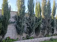 فيلا سكنية سياحية بزبدين 