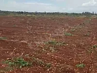 ارض زراعية طابو اخضر للبيع