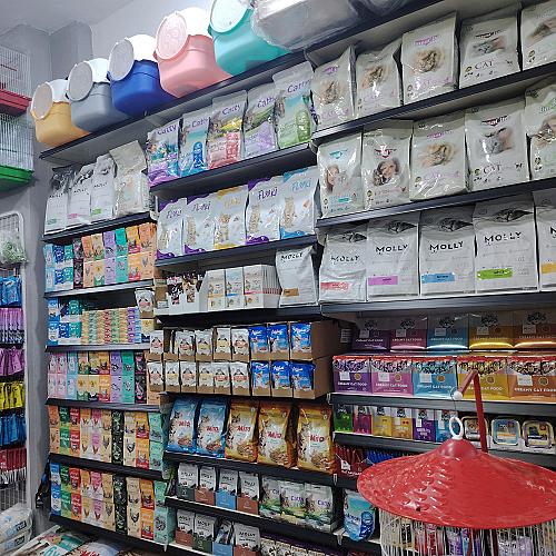 Pet city syria 