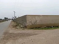 للبيع ارض زراعية بمنطقة دروشا 