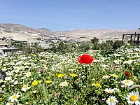 أجمل إطلالة في وادي بردى.  نرشدكم للمكان المناسب 