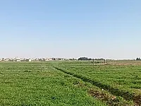للبيع ارض ٥ دونم قرحتا  طريق البحوث العلمية