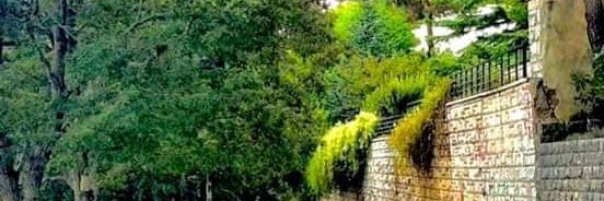 عقارات صلنفة Cover