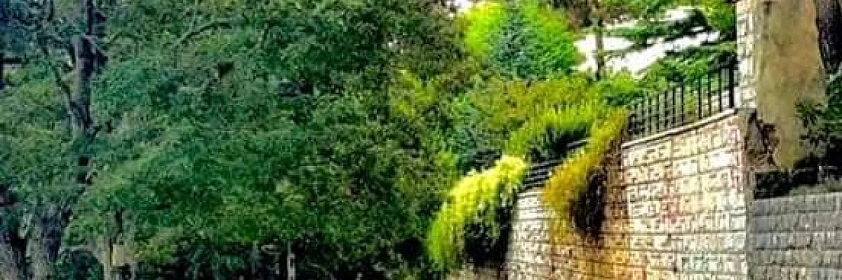 عقارات صلنفة Cover
