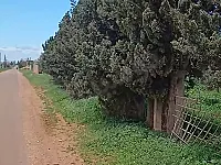 للبيع ارض قطينه علا طريق البويضه الشرقيه ٥٠٠ متر عن قطينه 