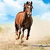 صورة المستخدم