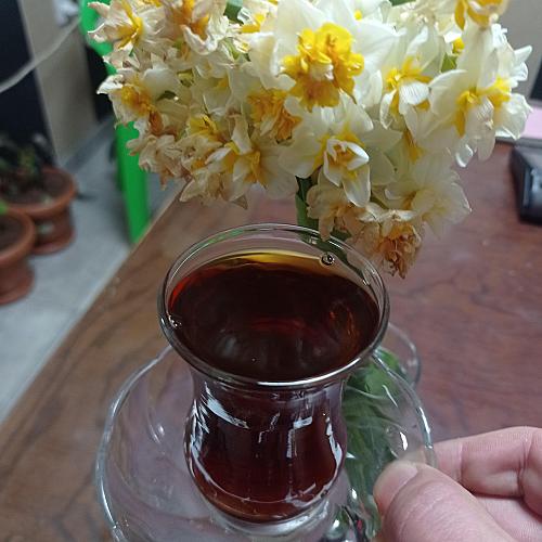-احمد