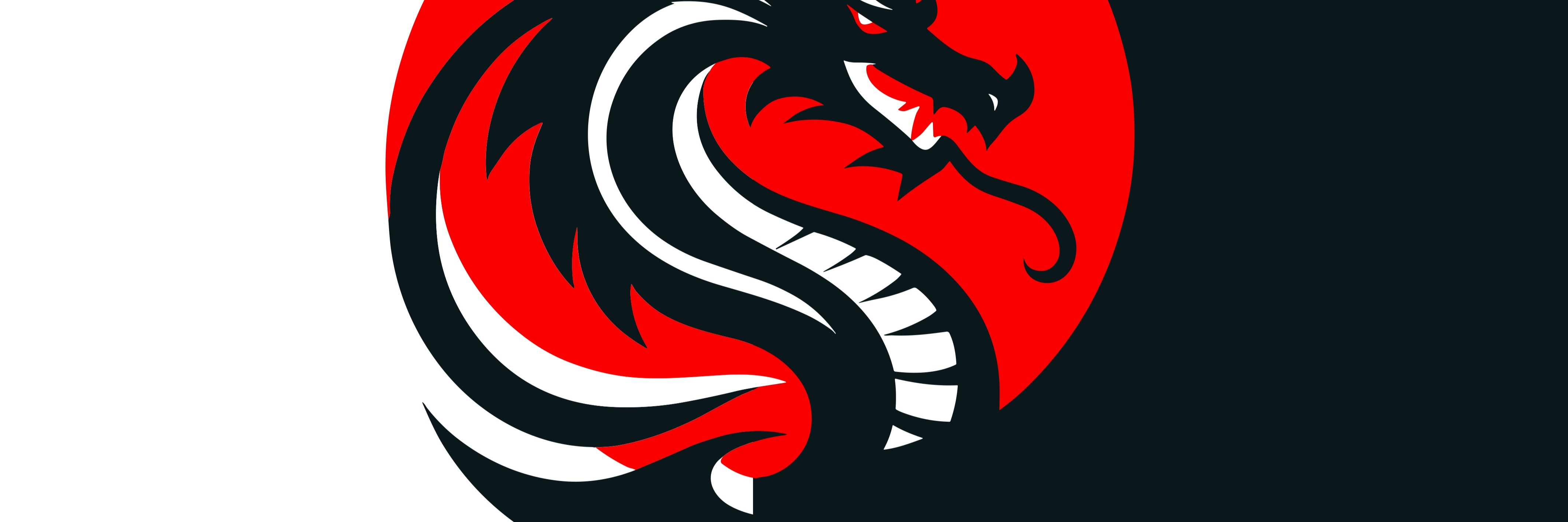 China Dragon Cover