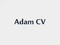 إنشاء CV احترافي