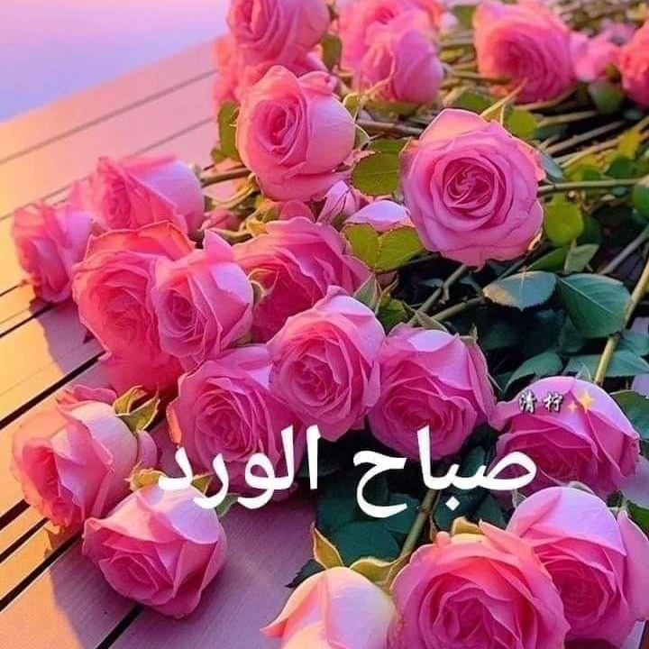 ريم عبدالله