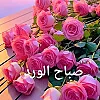 صورة المستخدم