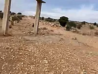 أرض زراعية للبيع في صبورة، سلمية - حماة 50000 م² تقريبآ