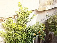 بيت عربي ٢٨٠ متر جمب حمام التيروزي 