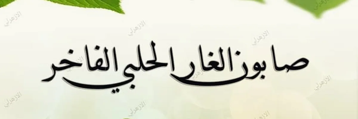 ازهرلي لصناعة الصابون الحلبي Cover