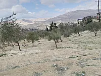 أرض للبيع في قرية دير قانون وادي بردى 