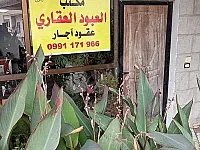 مزرعة اصطيافية للبيع في شين، حمص بمساحة 7000 م²