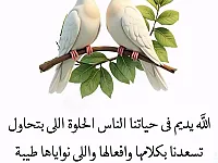 *إشراقة*  مع القُـرآن يُزهر كل شيء...💓  ‏وأوّل الأشيـاء قلبُـك💕
