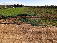 بيع أرض سكنية 3150 م² في عين النسر، حمص - طابو زراعي