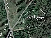 أرض زيتون عرضه معده للبناء 