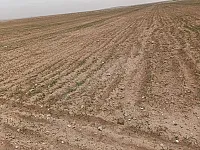 للبيع ارض في منطقة حولايا 