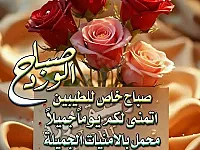 استوديو مفروش للإيجار في جرمانا - 25 م²، طابق أرضي