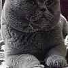 صورة المستخدم