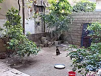 للبيع بيت عربي طابقين مع وجيبة