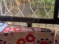 شقة مميزة في مشروع دمر الجزيرة 3✨