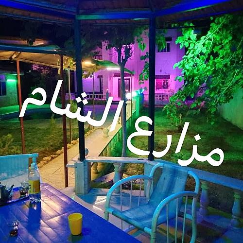 مزارع الشام