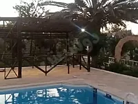 فلل للبيع في كفر بطنا، 1200 م²، 1 غرفة، 2 حمام