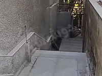 للبيع بالمالكي
