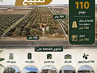 مزرعه للبيع على طريق دمشق درعا القديم 