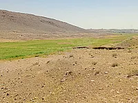 قطعة أرض زراعية للبيع 