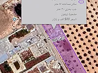 أرض زراعية مشجرة زيتون مع جب بحري